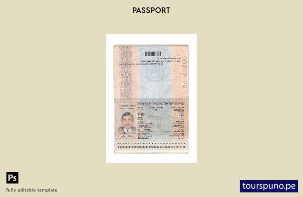 listo para imprimir la plantilla actual del pasaporte de Israel